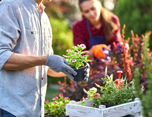 It’s Time to Design Your Dream Outdoor Living Space