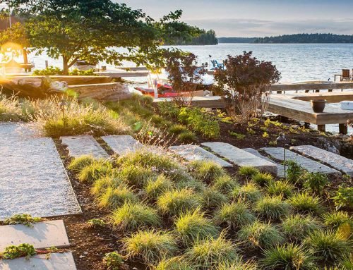 Why The Landscaper Is The Best For Your Business ?