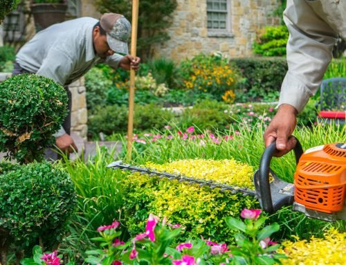 Job: Fulltime (+32 hours per week) Landscapers
